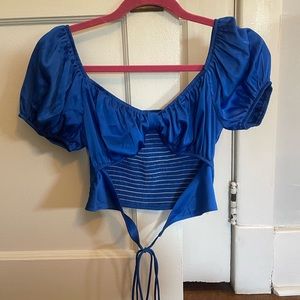 Princess polly satin royal blue top